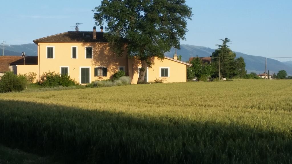 Le Rose Spello